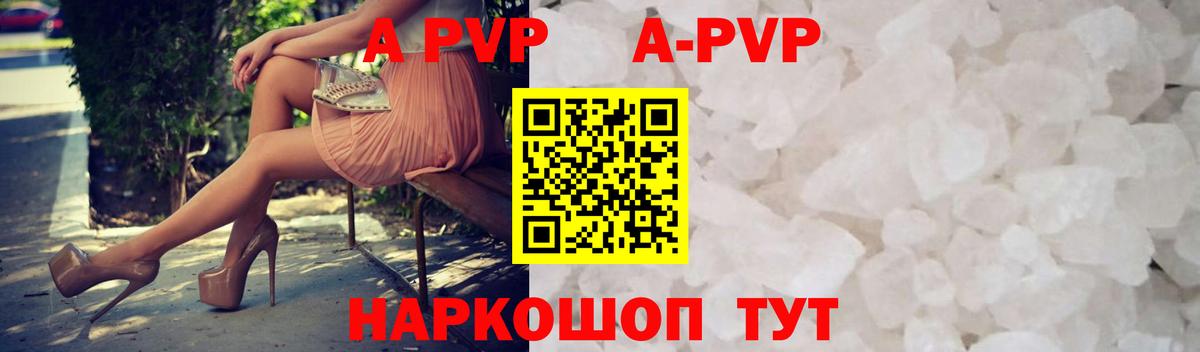 Альфа ПВП СК Лениногорск