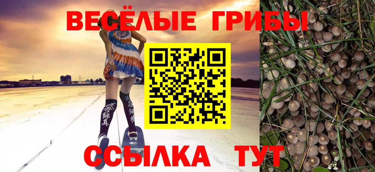 Галлюциногенные грибы ЛСД Лениногорск