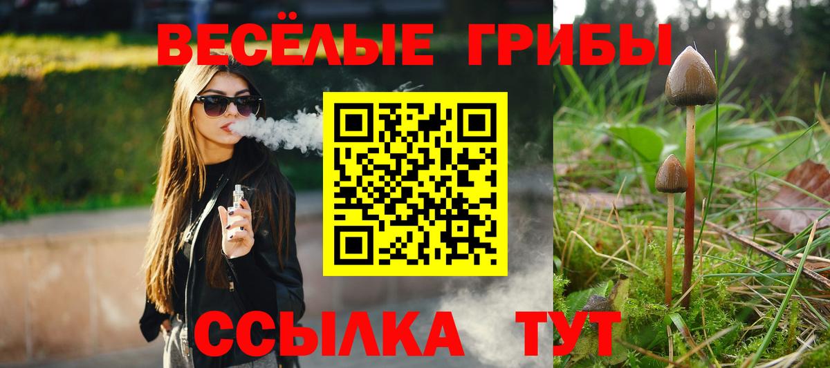 Лениногорск  Псилоцибиновые грибы Psilocybine cubensis  Вход с VPN  Галлюциногенные грибы Psilocybe 